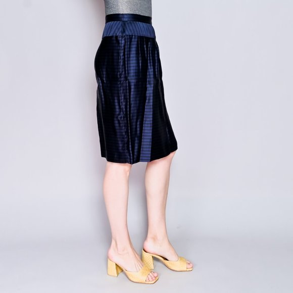 DRIES VAN NOTEN Blue Stripe Satin Skirt - Picture 3 of 6